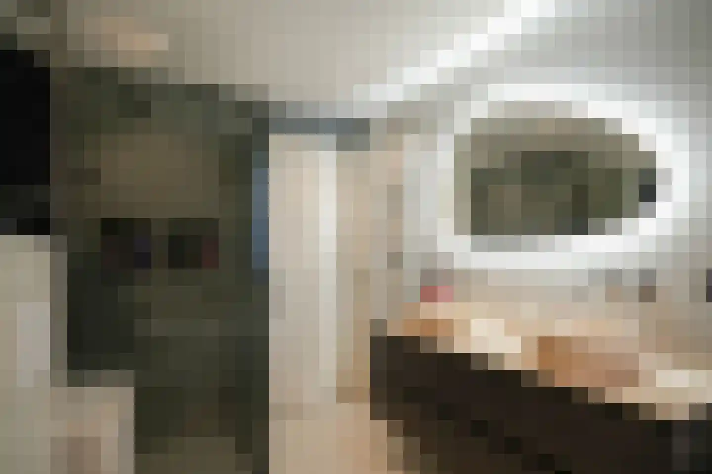 Gieser Wildeman 14 Dodewaard thumbnail 21