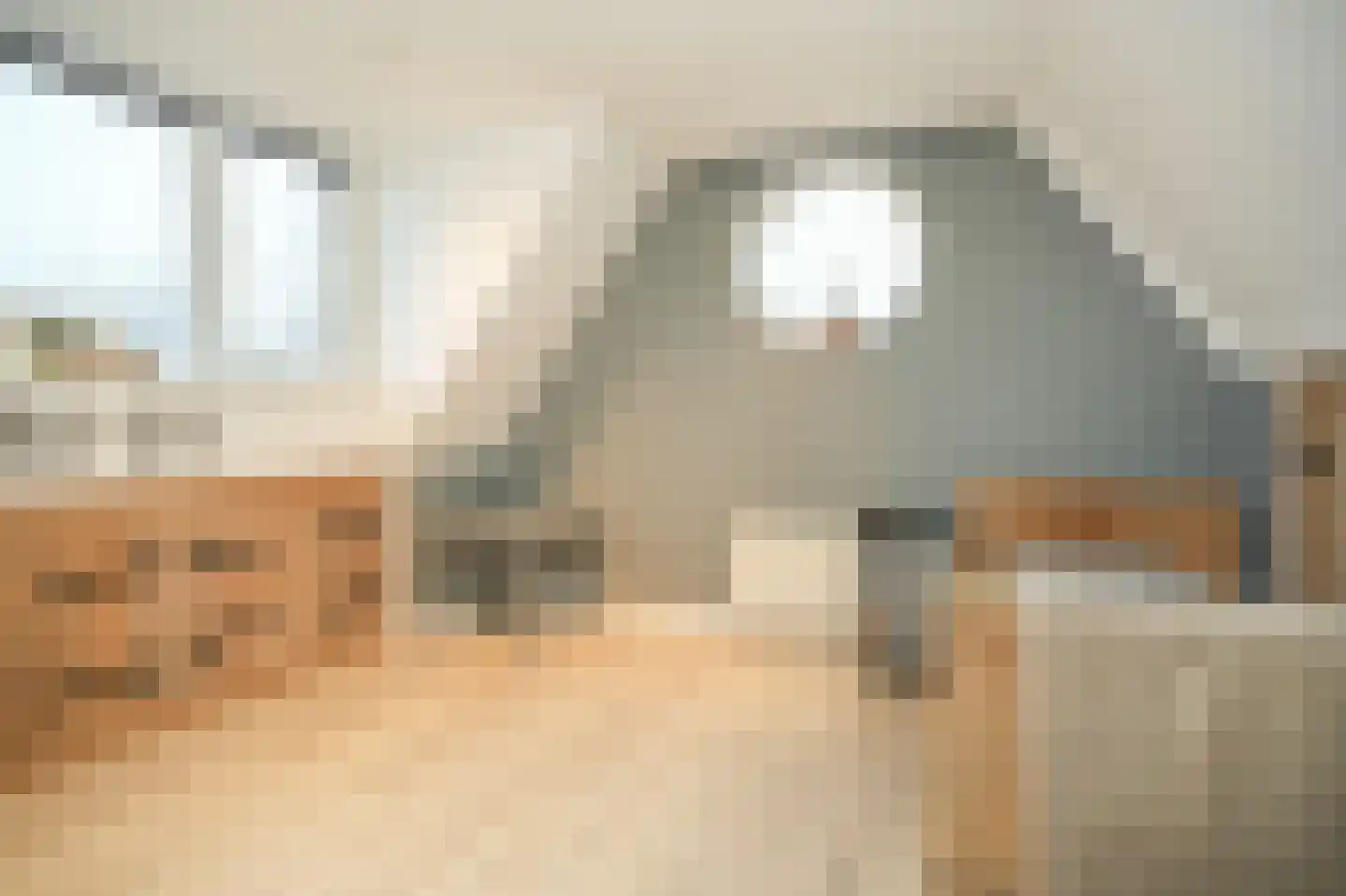 Gieser Wildeman 14 Dodewaard thumbnail 28