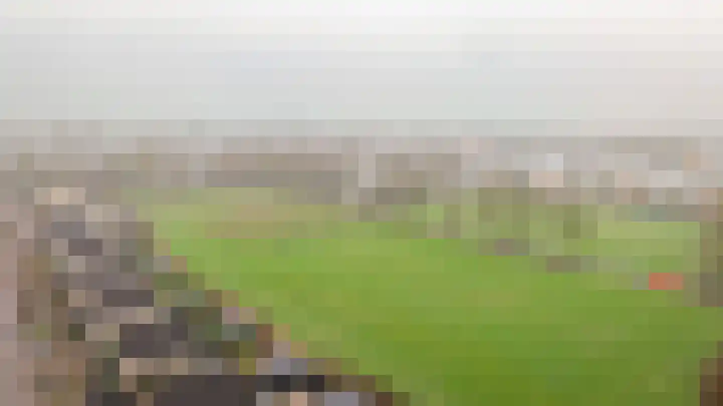 Gieser Wildeman 14 Dodewaard thumbnail 46