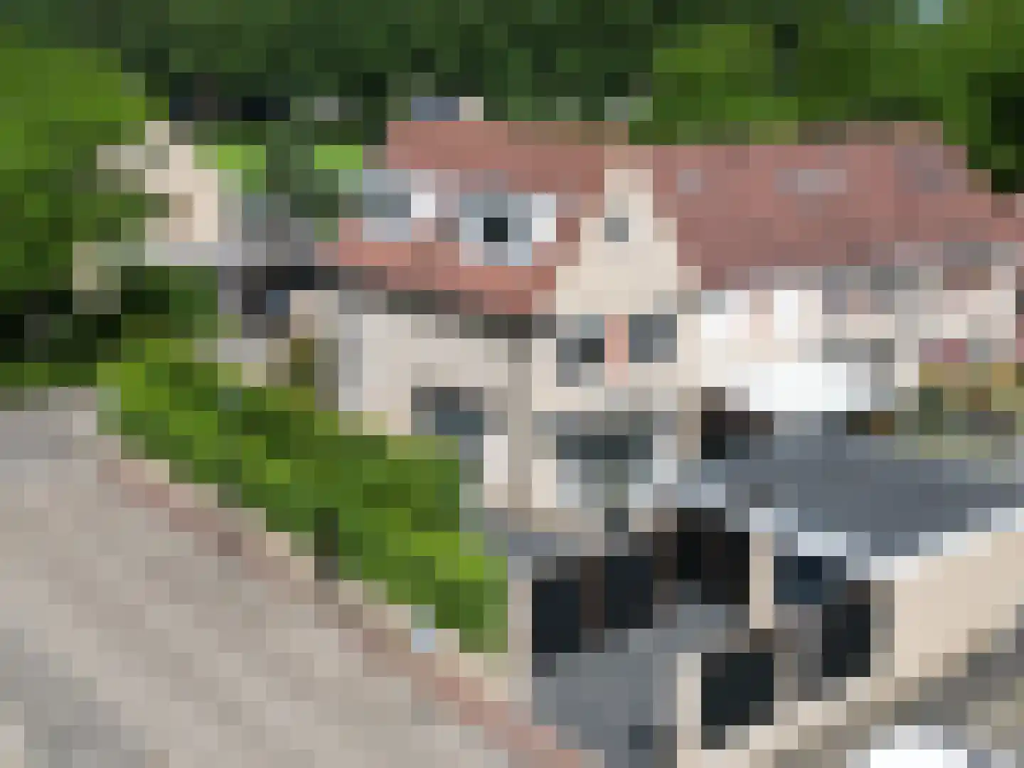 Gieser Wildeman 14 Dodewaard thumbnail 46