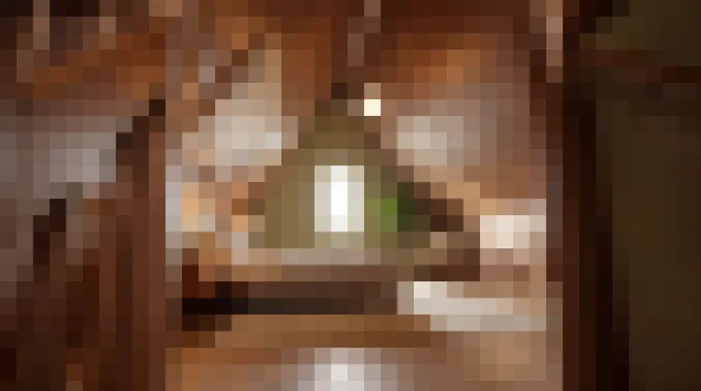 Gieser Wildeman 17 Hendrik-Ido-Ambacht thumbnail 6