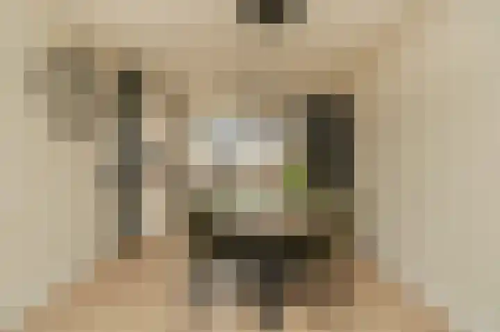 Gieser Wildeman 8 Dodewaard thumbnail 11