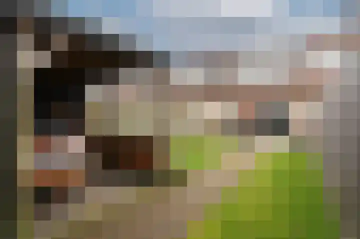 Gieser Wildeman 8 Dodewaard thumbnail 24