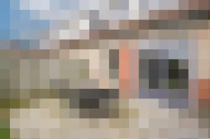 Gieser Wildeman 8 Dodewaard thumbnail 28
