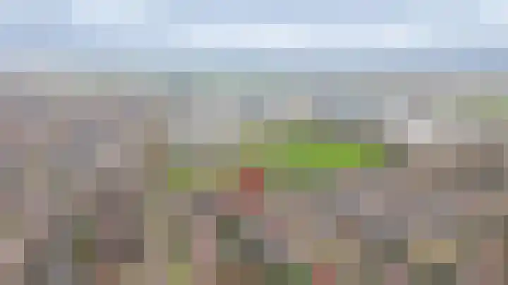 Gieser Wildeman 8 Dodewaard thumbnail 37