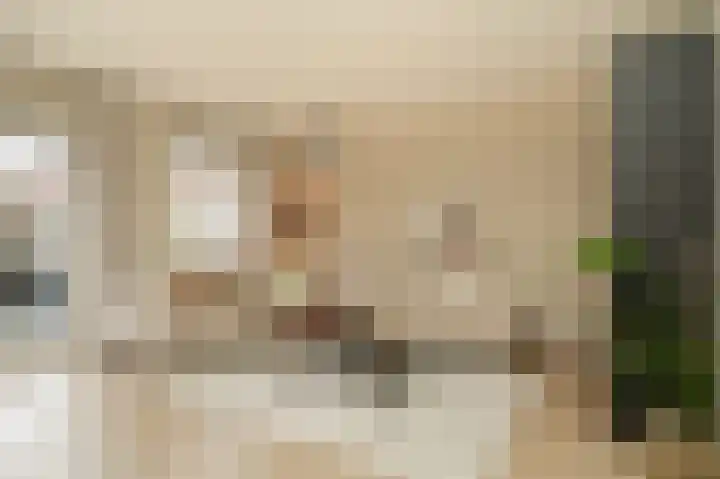 Gieser Wildeman 8 Dodewaard thumbnail 7