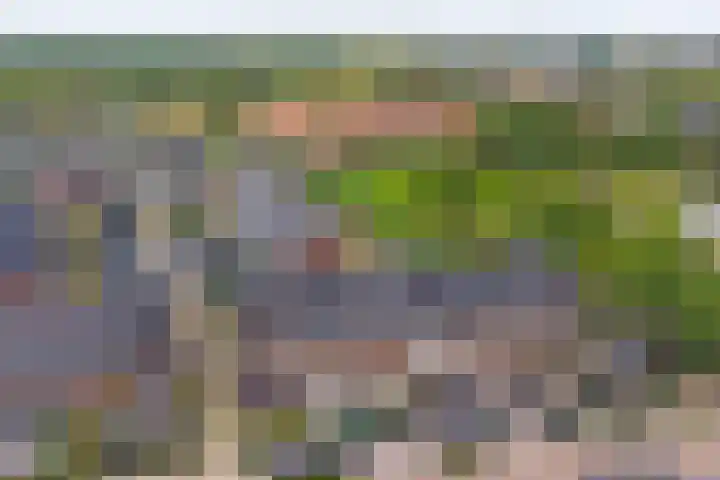 Gieser Wildeman-erf 17 Ridderkerk thumbnail 33
