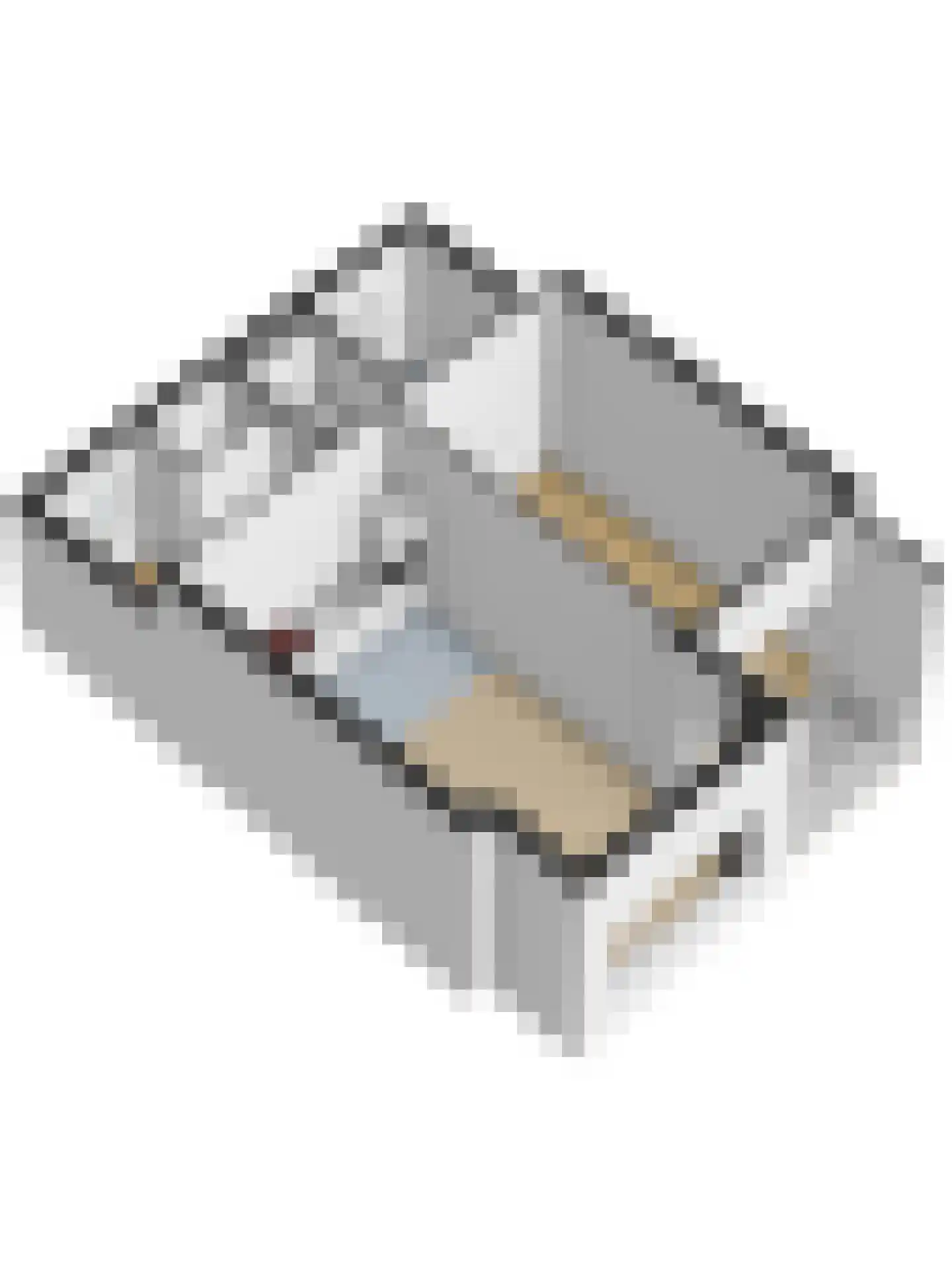 Gieskesstraat 41 D Hengelo thumbnail 32