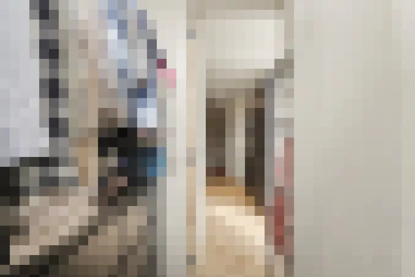 Gieskesstraat 41 E Hengelo thumbnail 12