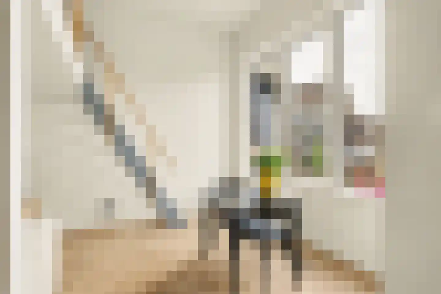 Gieskesstraat 41 E Hengelo thumbnail 17
