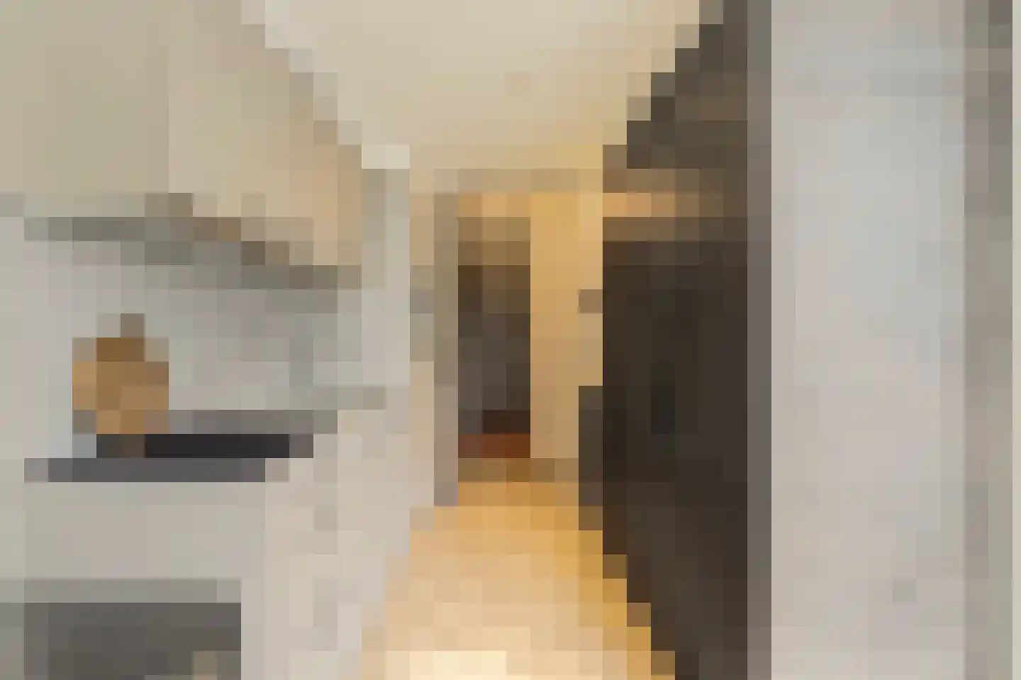 Gieskesstraat 41 E Hengelo thumbnail 9
