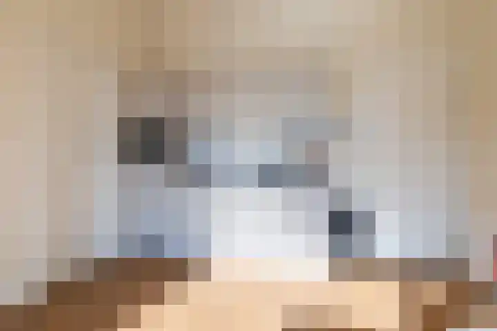 Gieskesstraat 41 H Hengelo thumbnail 16