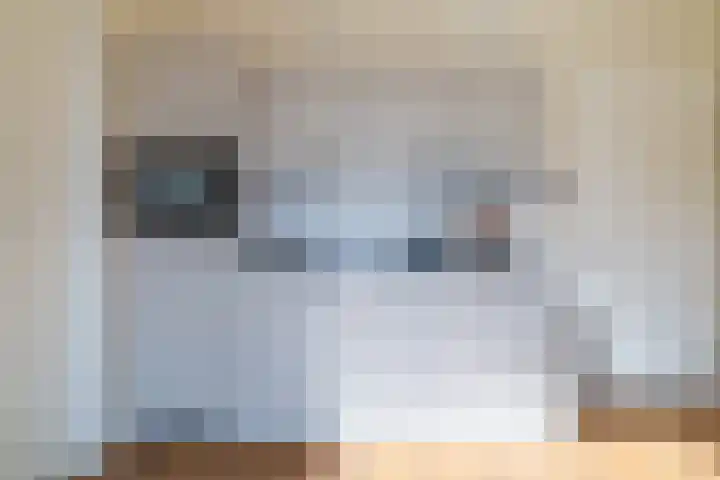 Gieskesstraat 41 H Hengelo thumbnail 17