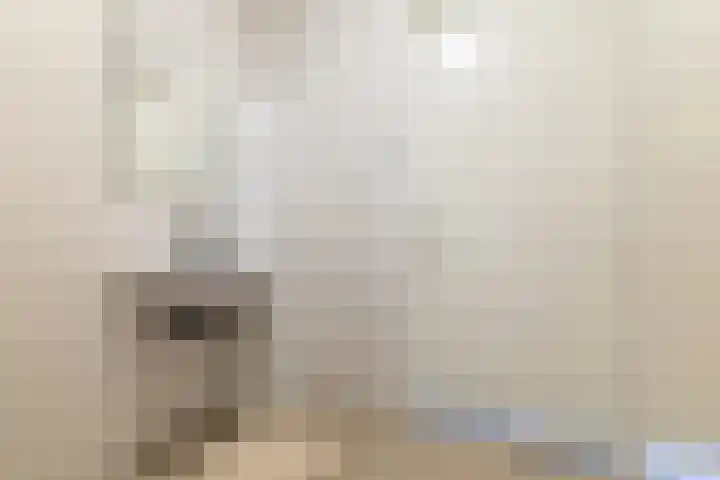 Gieskesstraat 41 H Hengelo thumbnail 22