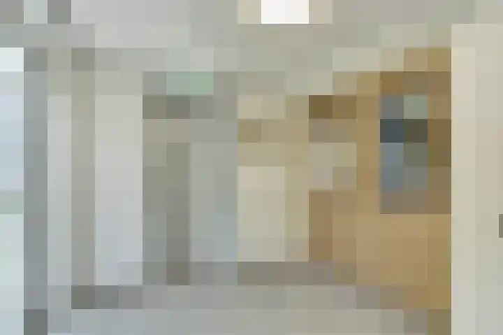 Gieskesstraat 43 D Hengelo thumbnail 8