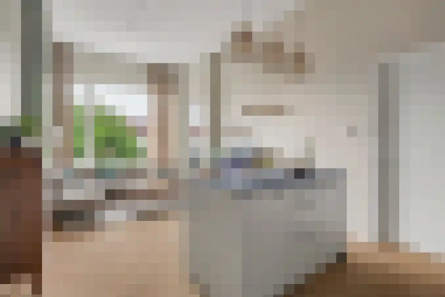Gieskesstraat 43 H Hengelo thumbnail 11