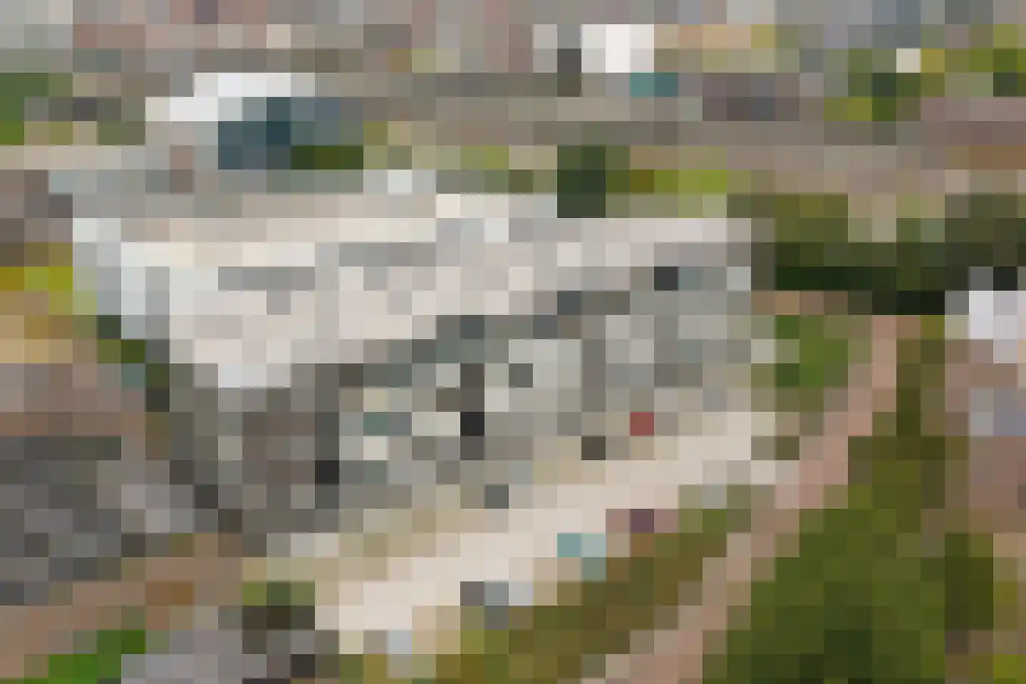 Gieskesstraat 43 H Hengelo thumbnail 31