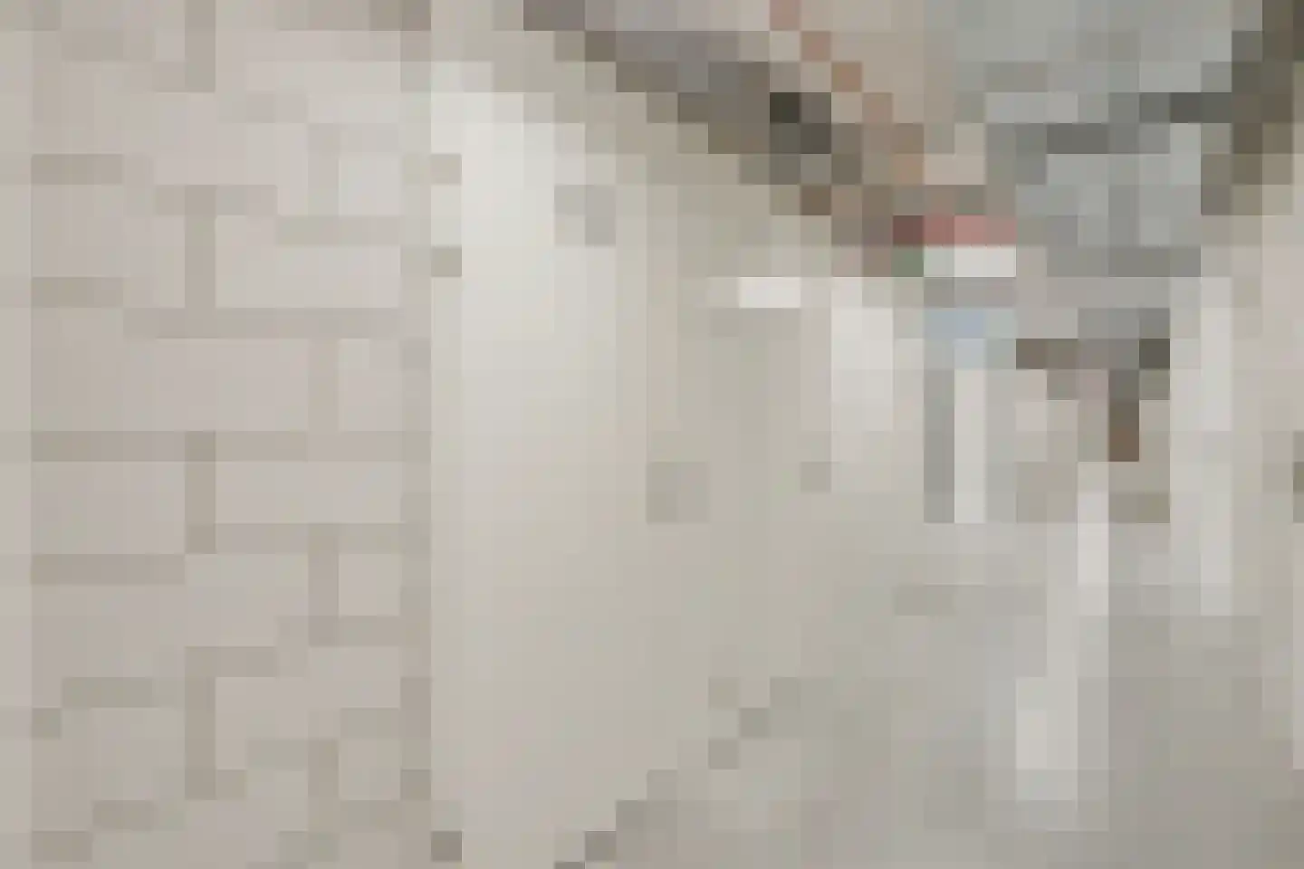 Gieskesstraat 43 K Hengelo thumbnail 11