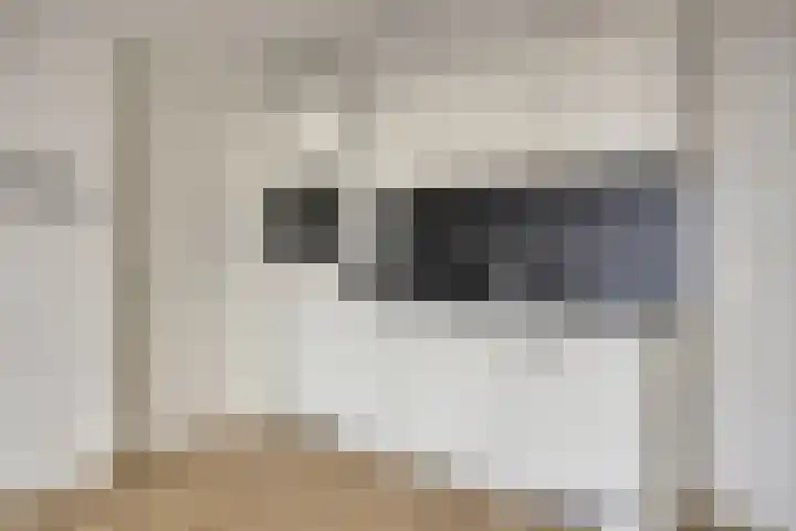 Gieskesstraat 45 H Hengelo thumbnail 17