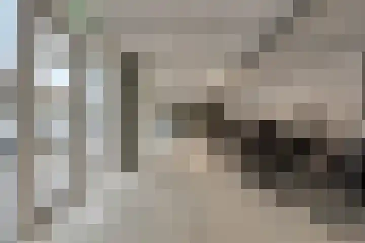 Gieskesstraat 45 H Hengelo thumbnail 28