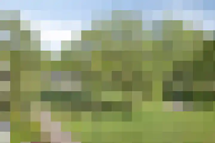 Giessen 11 Apeldoorn thumbnail 17