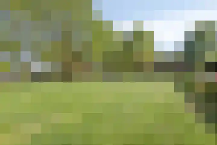 Giessen 11 Apeldoorn thumbnail 18