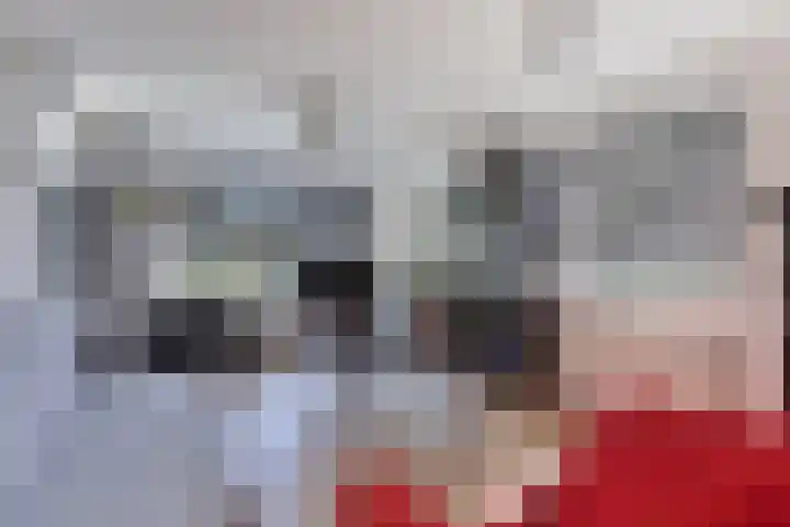 Giessen 11 Apeldoorn thumbnail 8