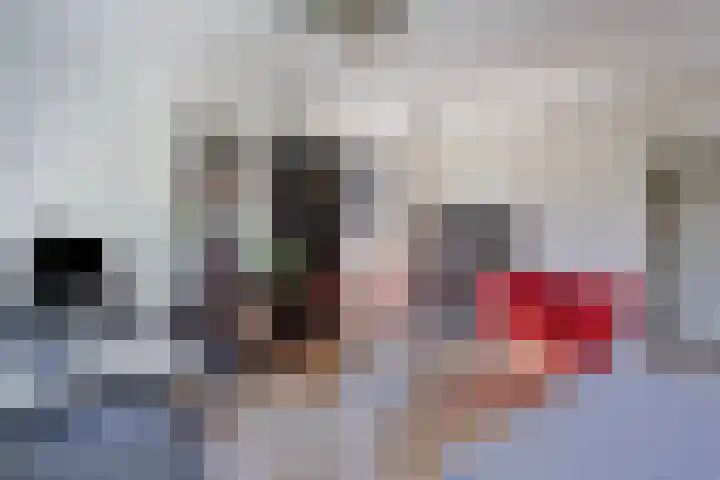 Giessen 11 Apeldoorn thumbnail 9