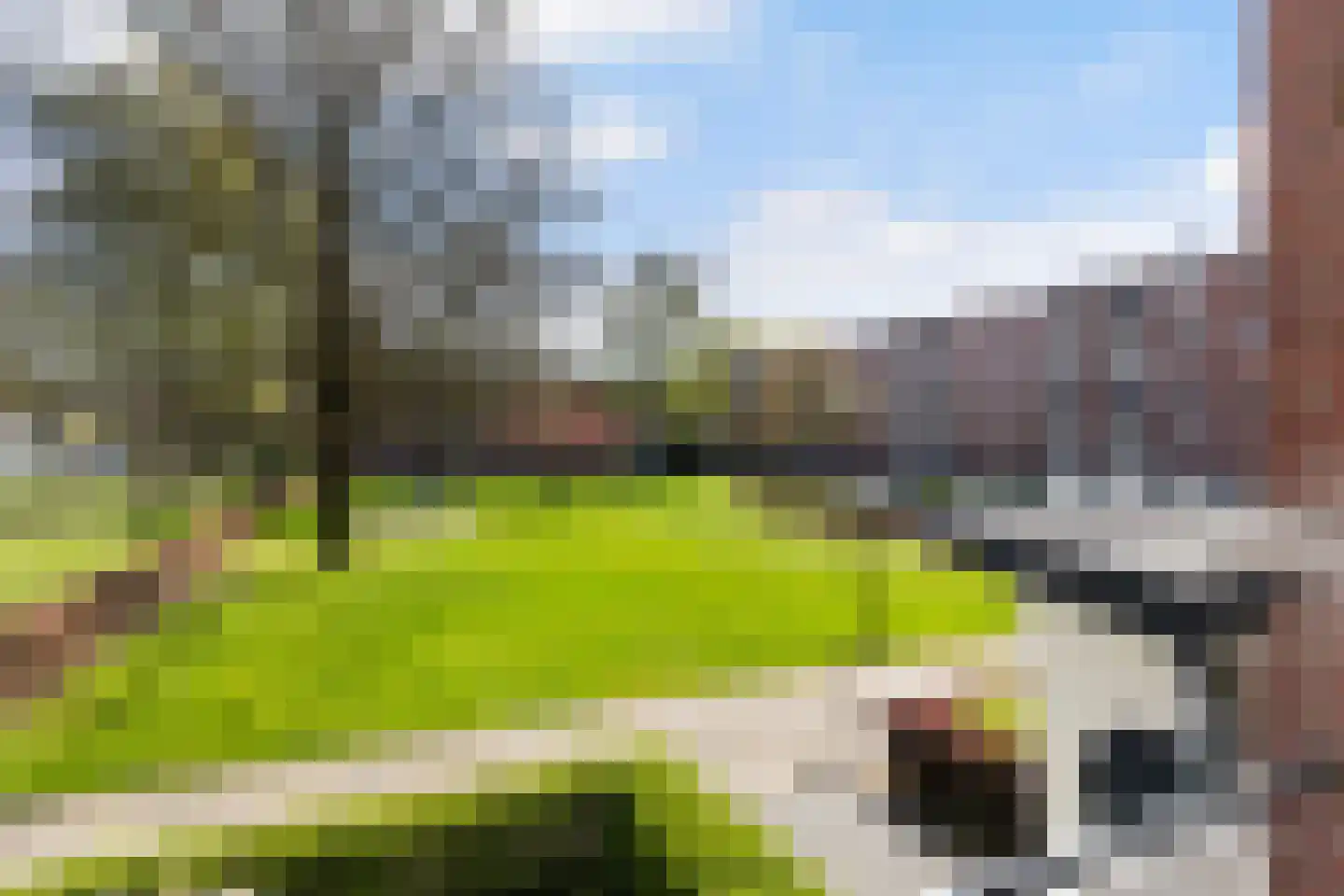 Giessen 13 Apeldoorn thumbnail 23