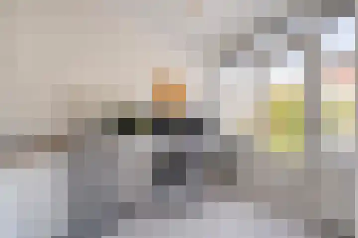 Giessen 13 Zwolle thumbnail 23