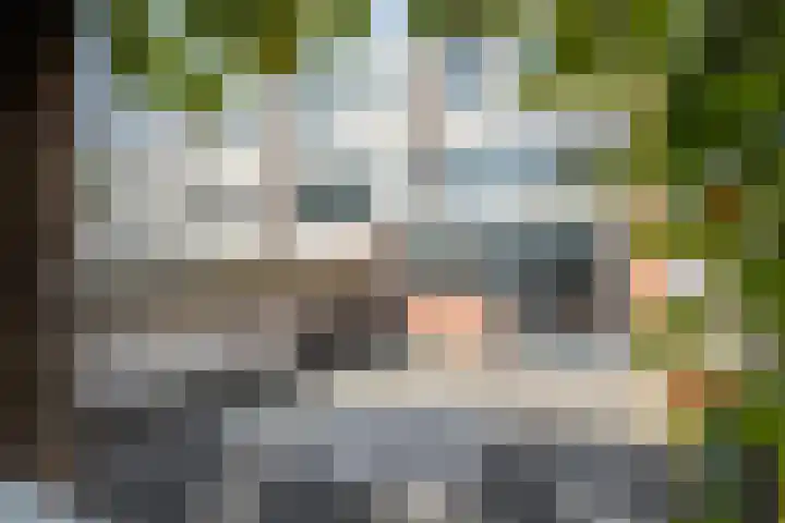 Giessen 13 Zwolle thumbnail 36