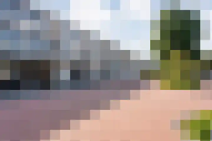 Giessen 13 Zwolle thumbnail 42