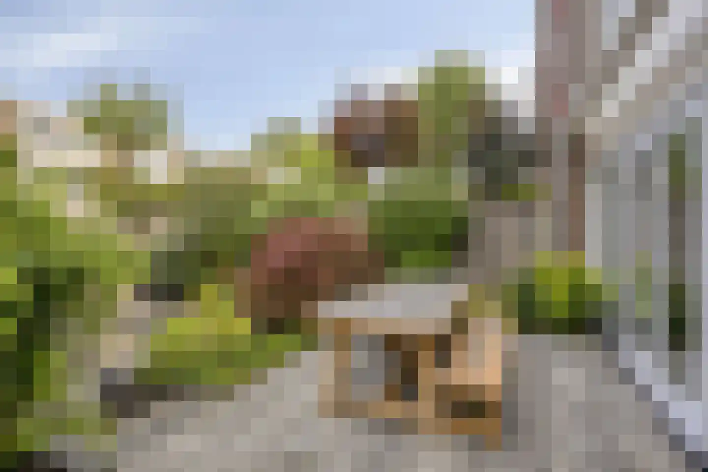 Giessen 16 Zwolle thumbnail 13