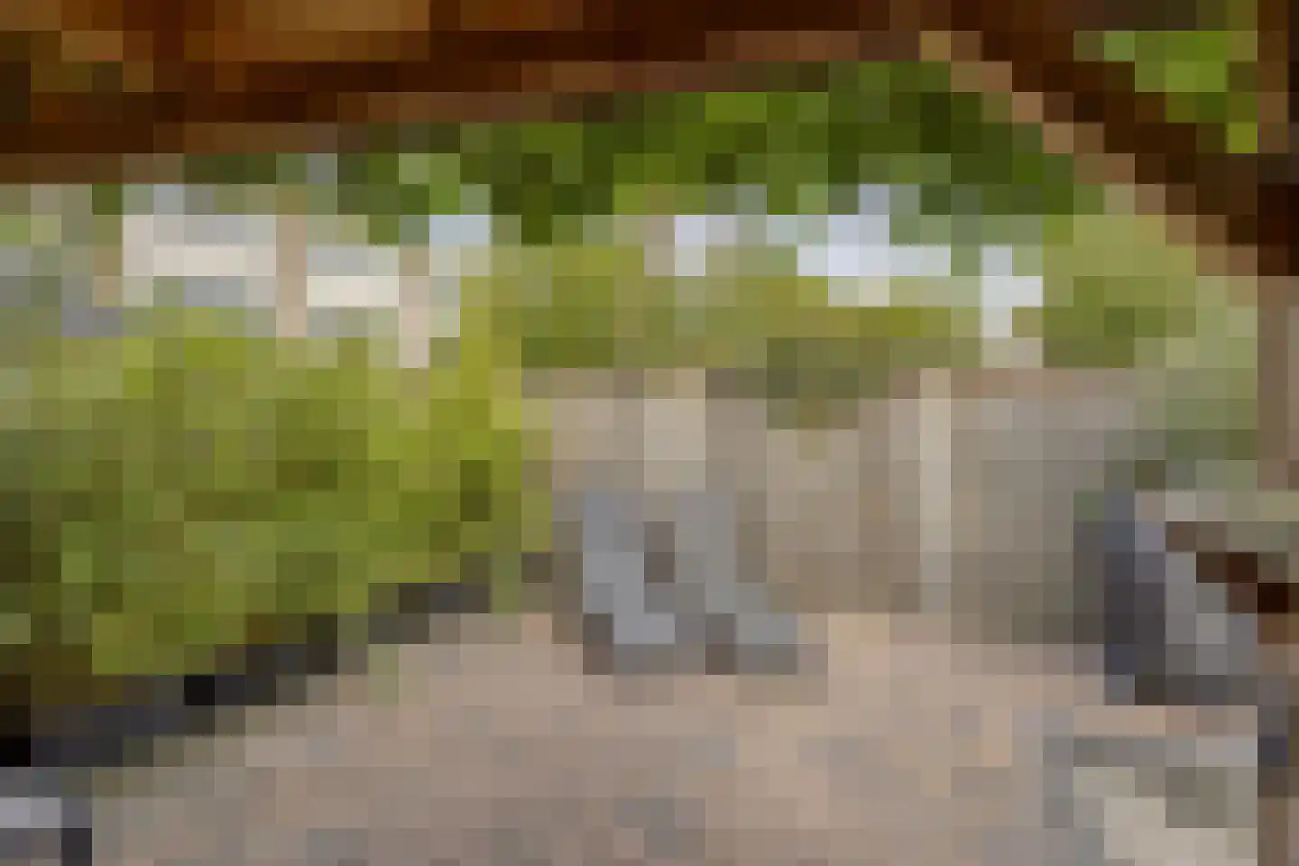 Giessen 16 Zwolle thumbnail 17