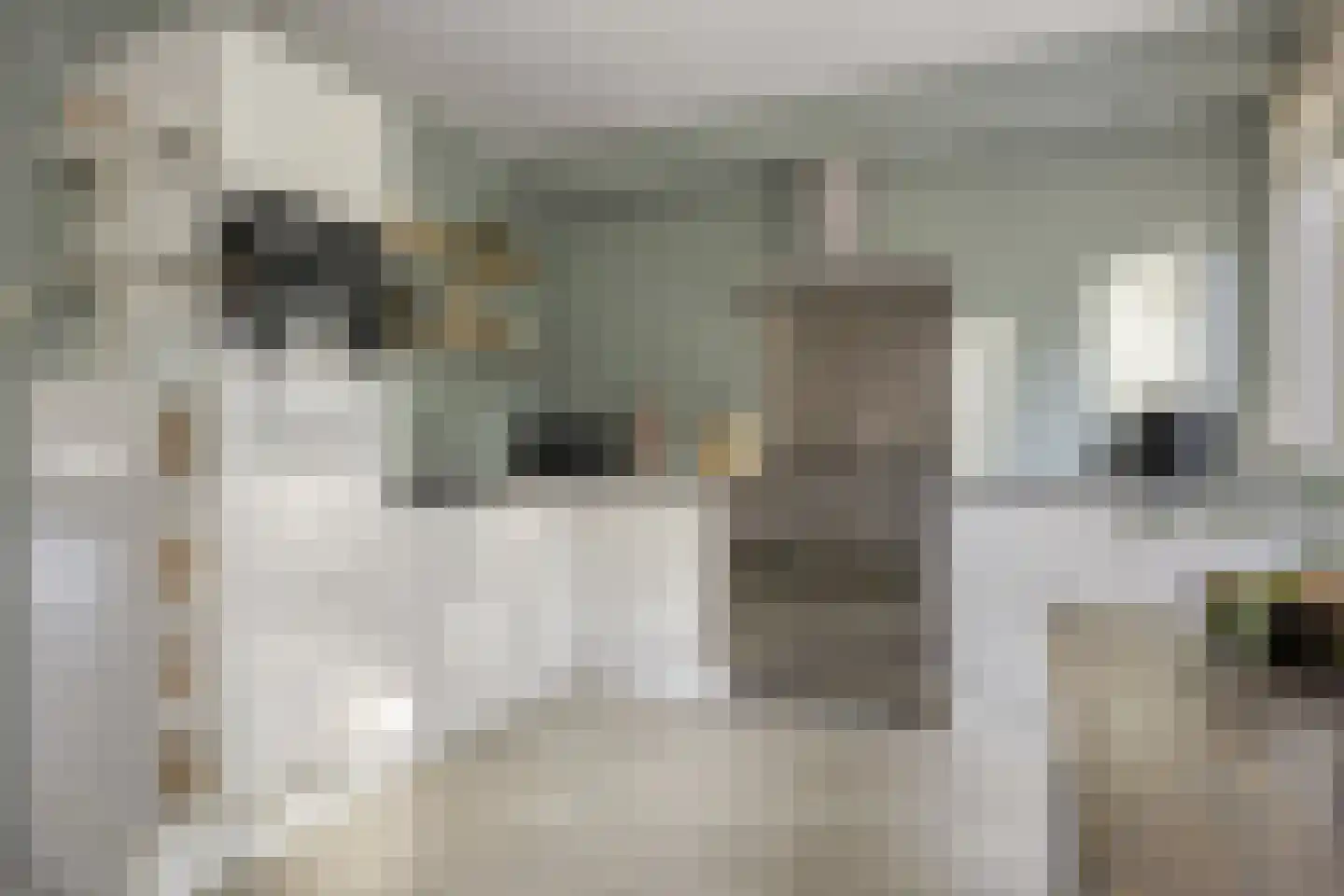 Giessen 16 Zwolle thumbnail 27