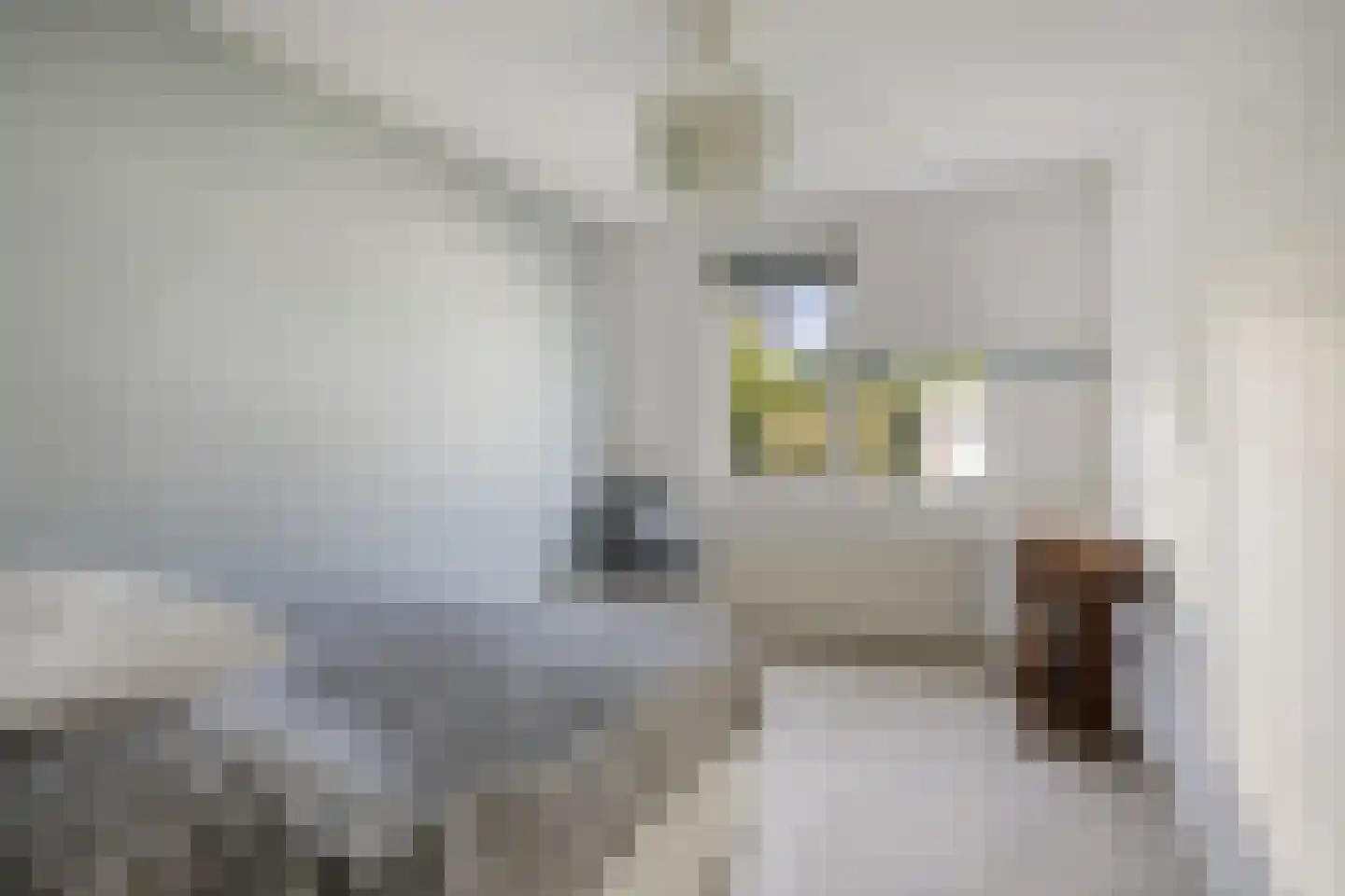 Giessen 16 Zwolle thumbnail 40