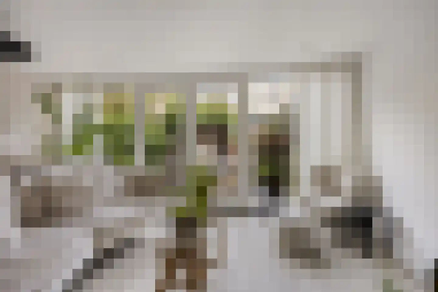 Giessen 16 Zwolle thumbnail 9