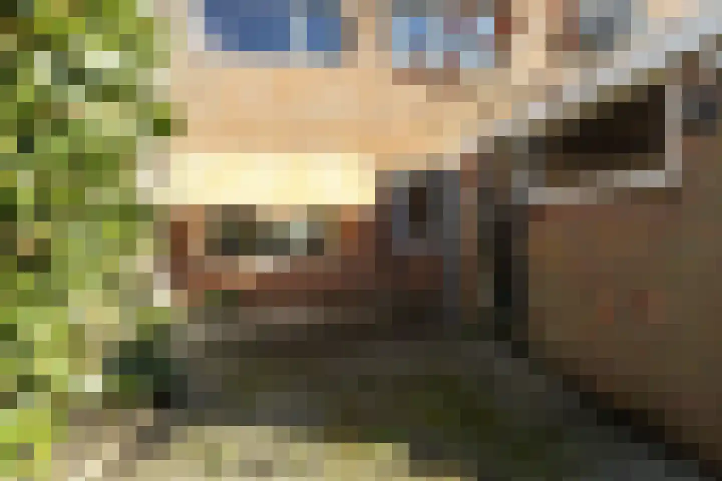Giessen 3 Barendrecht thumbnail 25