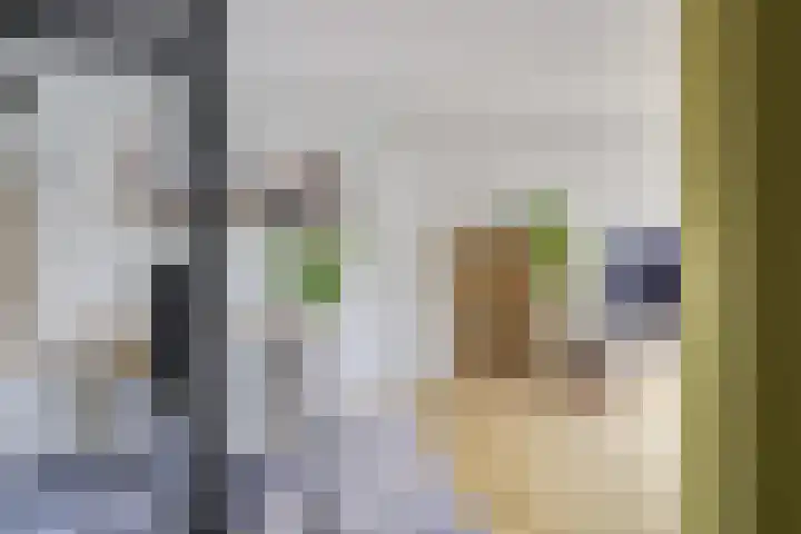 Giessenborch 13 Vianen thumbnail 10