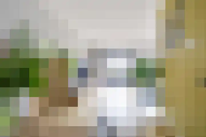 Giessenborch 13 Vianen thumbnail 11