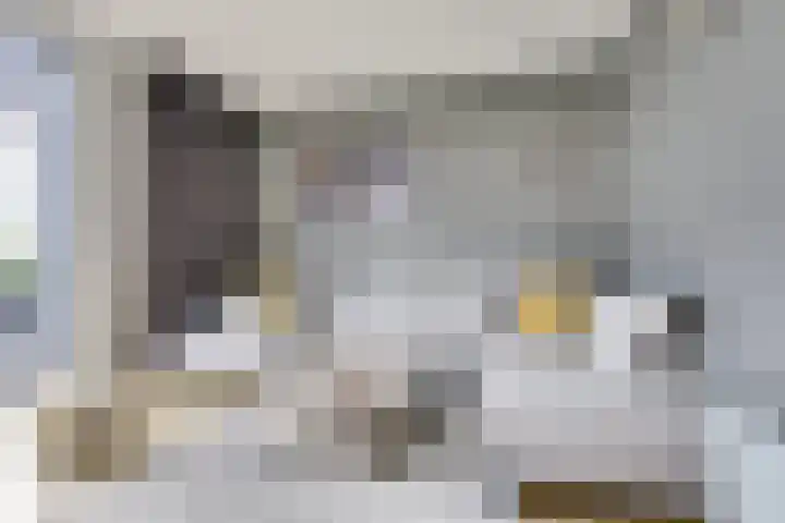 Giessenborch 13 Vianen thumbnail 15
