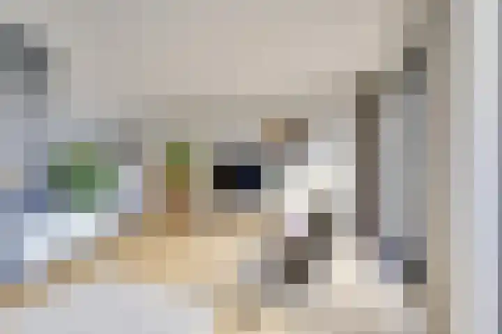 Giessenborch 13 Vianen thumbnail 16