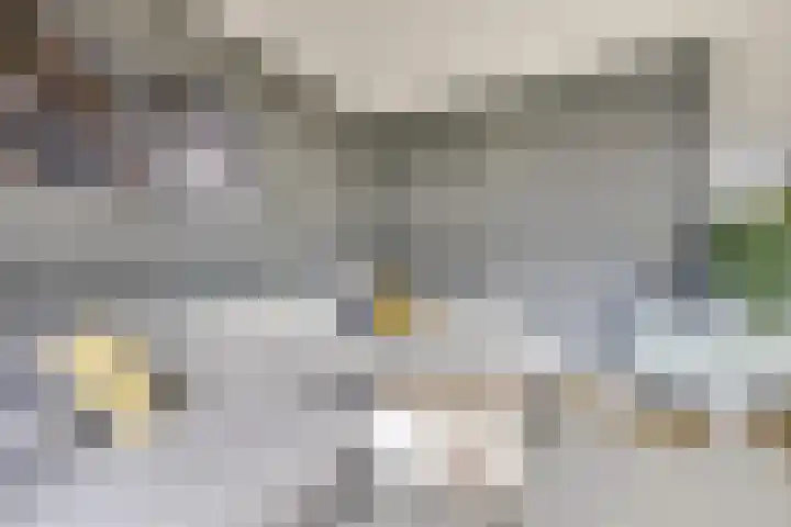 Giessenborch 13 Vianen thumbnail 17