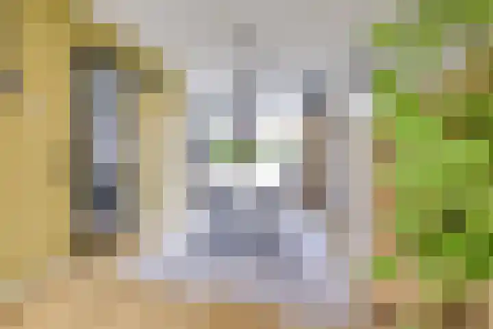 Giessenborch 13 Vianen thumbnail 20