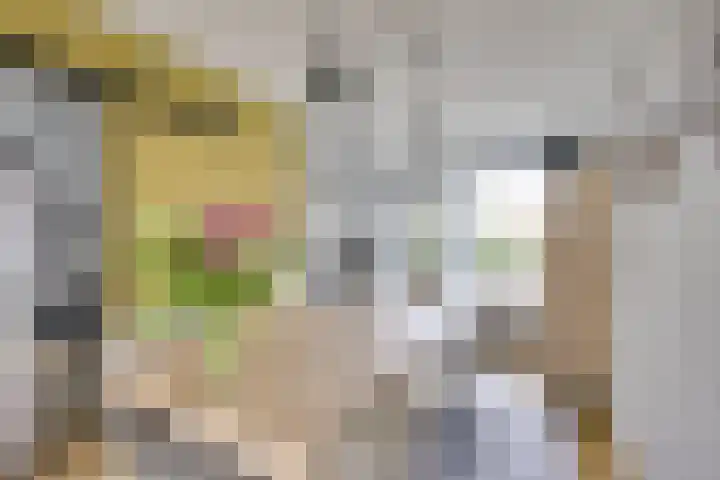 Giessenborch 13 Vianen thumbnail 21