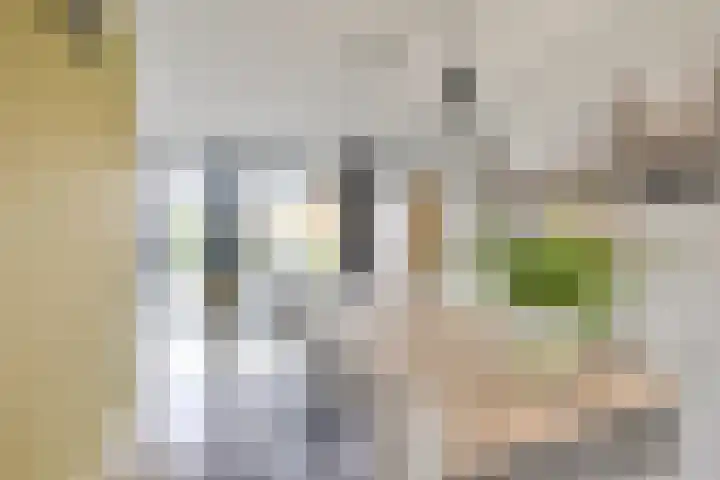 Giessenborch 13 Vianen thumbnail 22