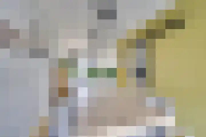 Giessenborch 13 Vianen thumbnail 23