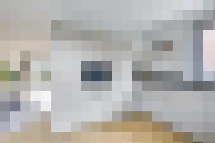 Giessenborch 13 Vianen thumbnail 26