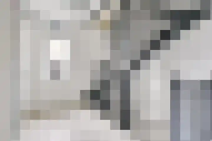 Giessenborch 13 Vianen thumbnail 32