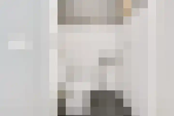Giessenborch 13 Vianen thumbnail 33